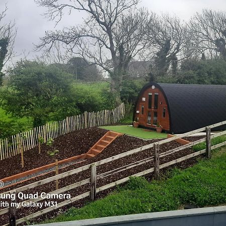Ivy Hill Glamping Pod Appartement Ennis Buitenkant foto