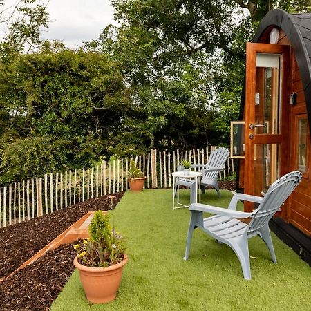 Ivy Hill Glamping Pod Appartement Ennis Buitenkant foto