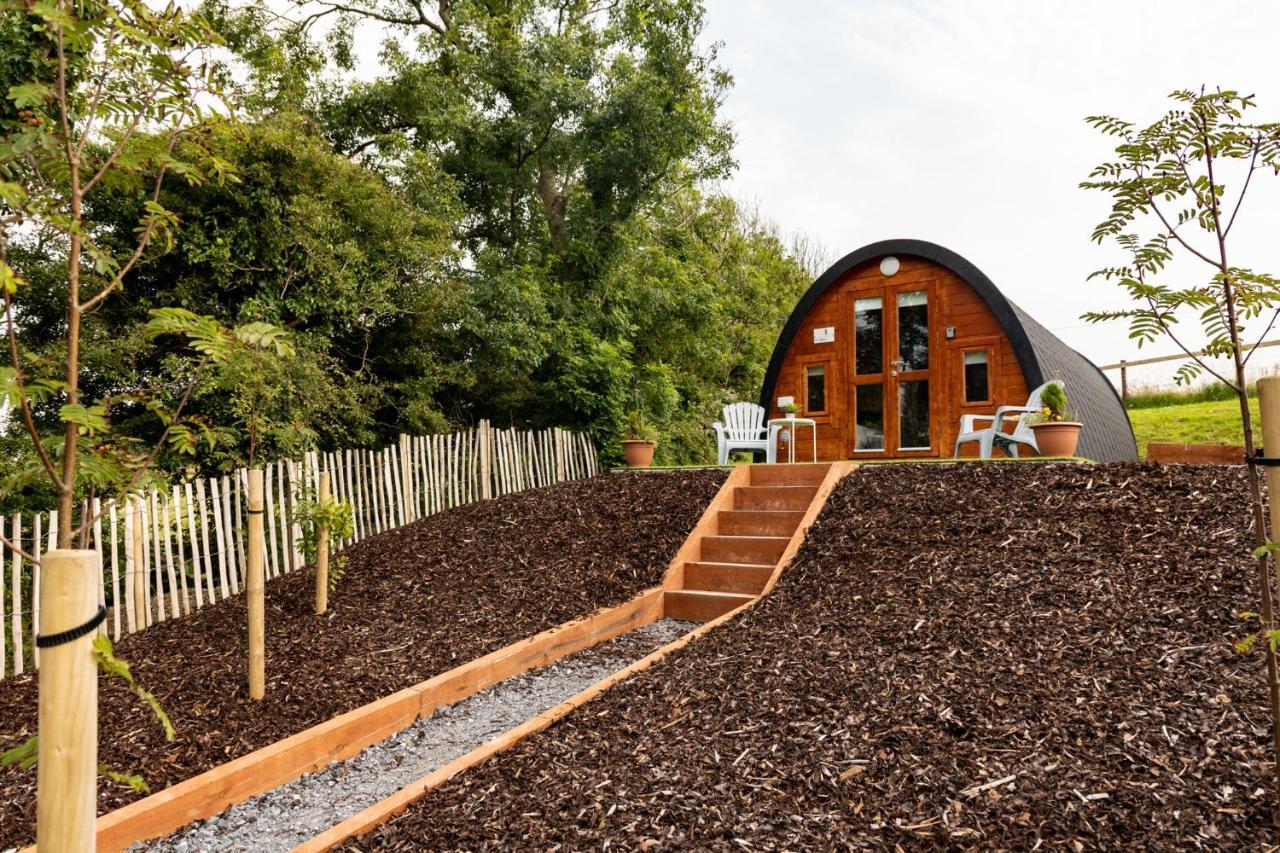 Ivy Hill Glamping Pod Appartement Ennis Buitenkant foto
