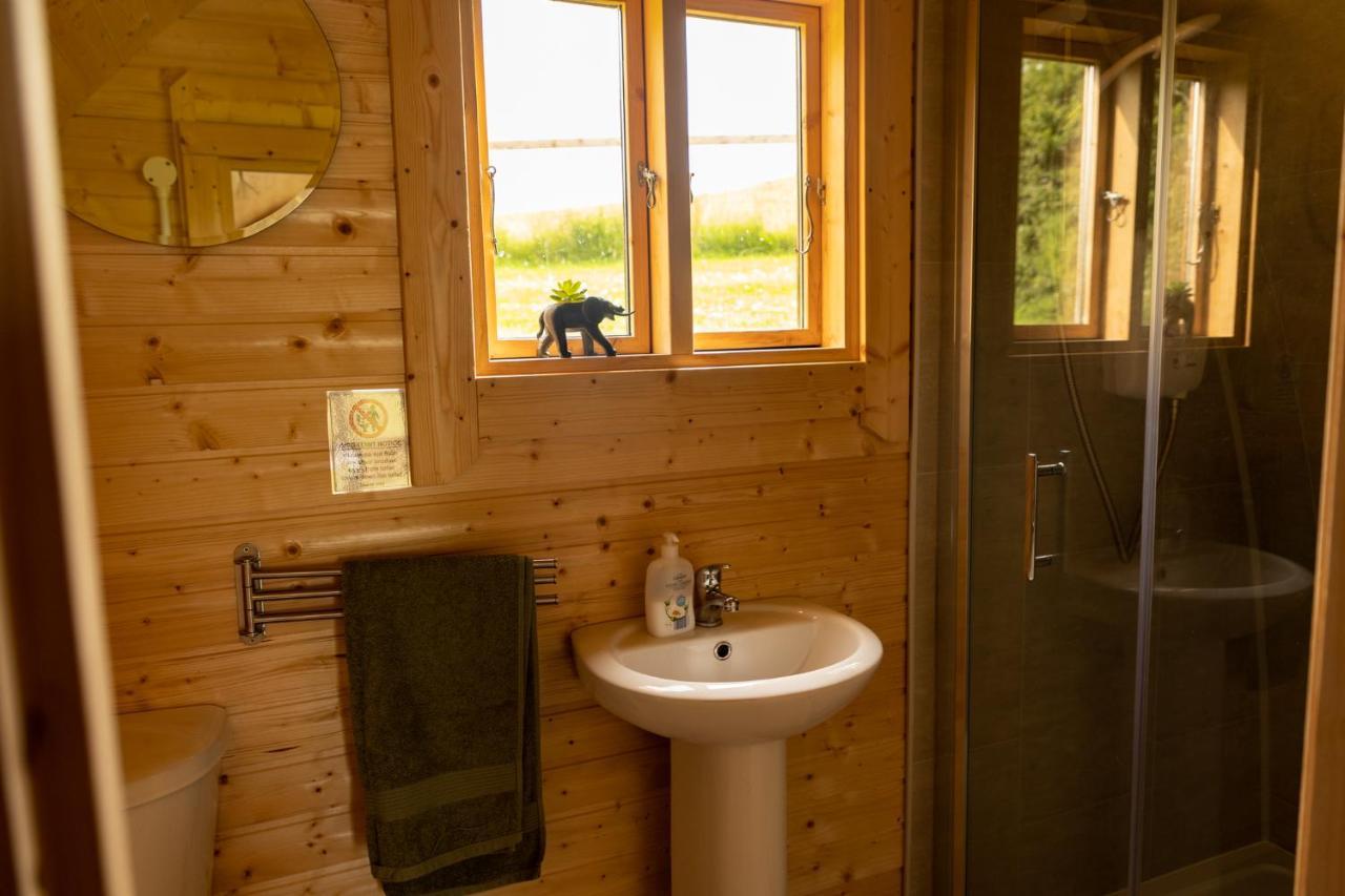 Ivy Hill Glamping Pod Appartement Ennis Buitenkant foto